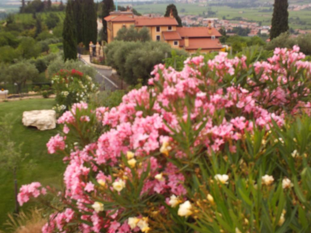 Villa Oleandri 산피에트로인카리아노 객실 사진